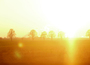 Sonnenschein