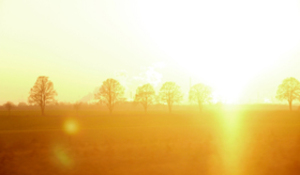 Sonnenschein