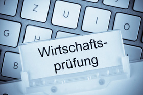 Wirtschaftsprüfung, Wirtschaftsprüfer