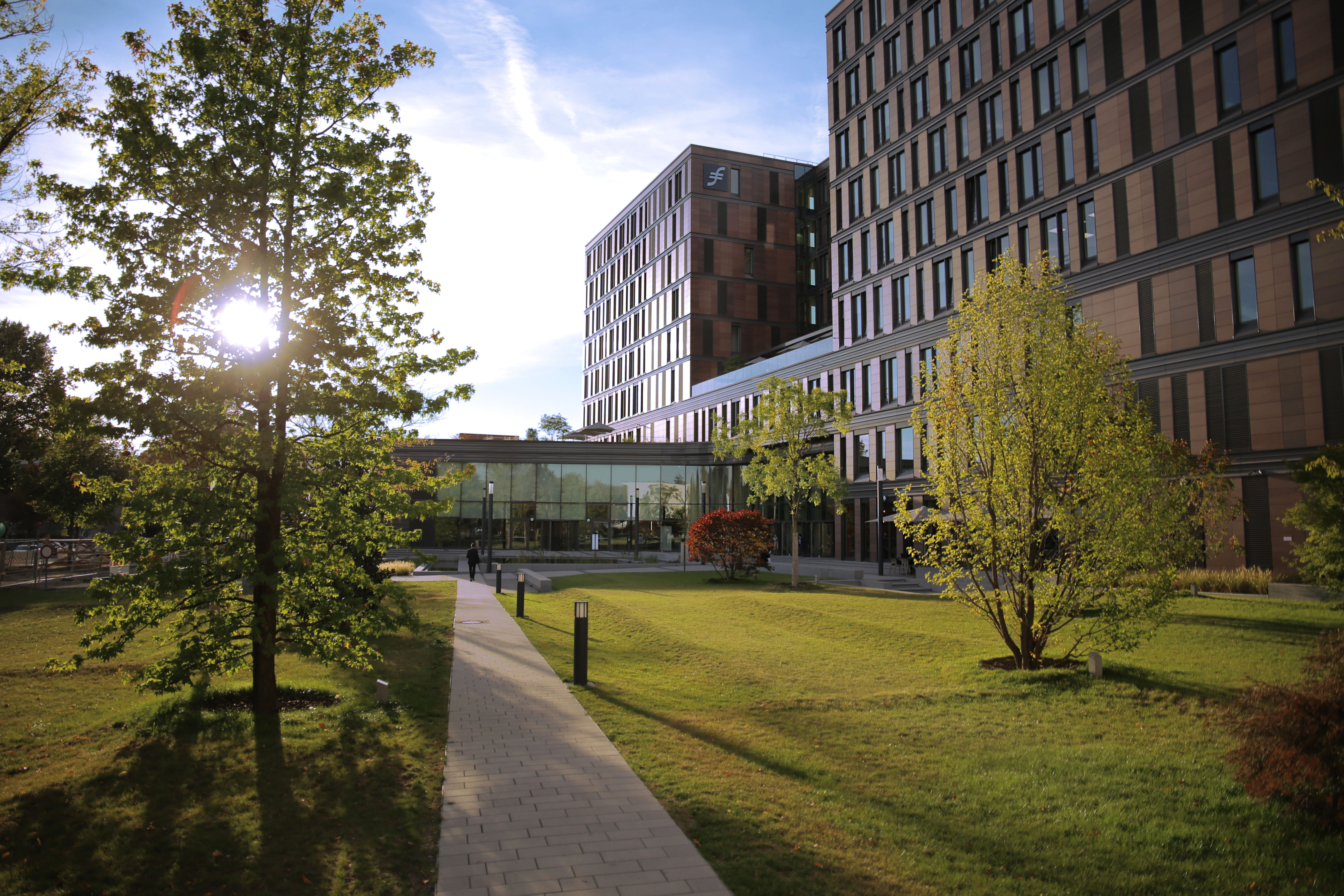 Frankfurt School Of Finance Management Profil Bei Squeaker Net