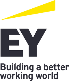 EY Consulting