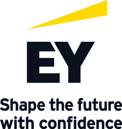EY Consulting
