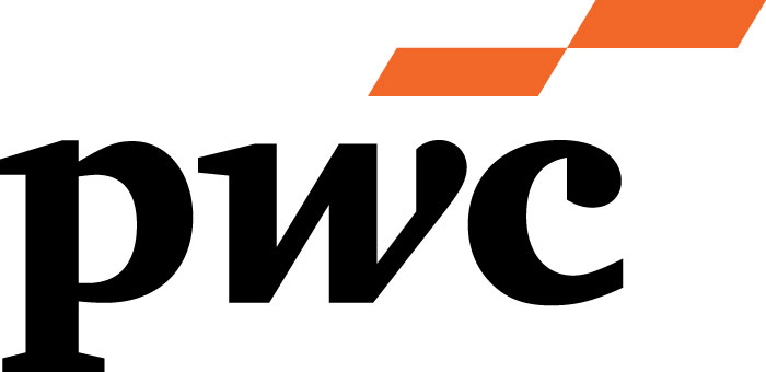 PwC-Logo_U-Portraet