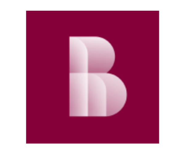 B2B final 5 Roland Berger
